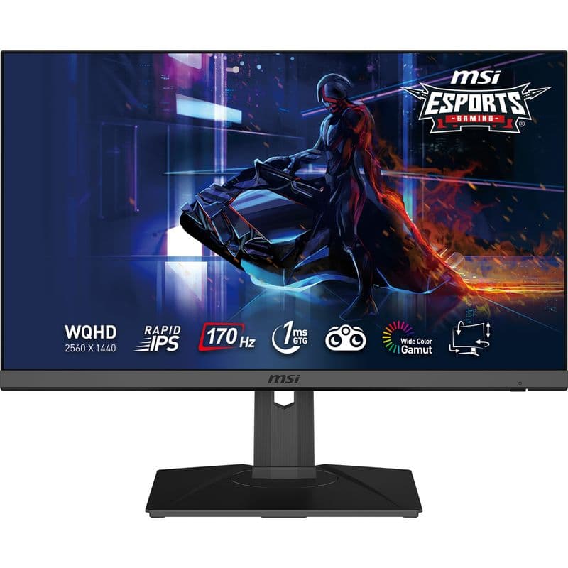 MSI G272QPF E2 27 inç 180Hz 1ms WQHD Rapid IPS Pivot Gaming Monitör