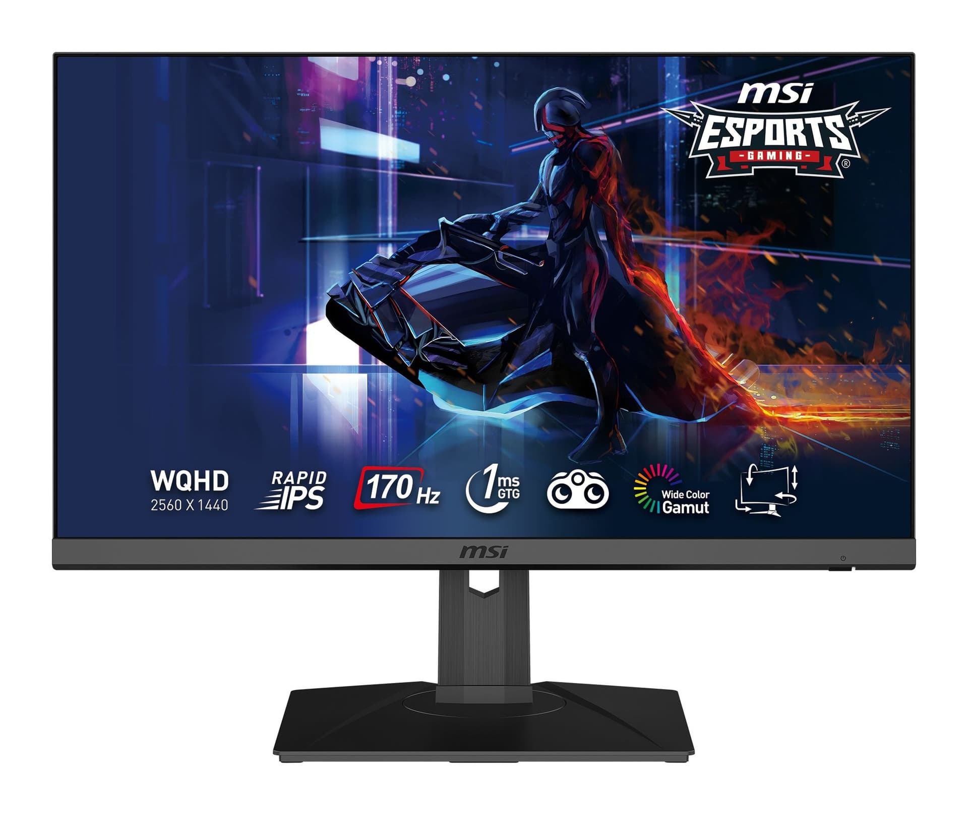 MSI G272QPF E2 27 inç 180Hz 1ms WQHD Rapid IPS Pivot Gaming Monitör