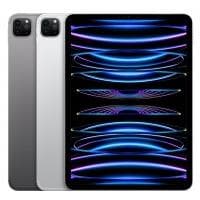 Apple iPad Pro 11 Wi-Fi + Cellular (MNYG3TU/A) 8 GB / 512 GB
