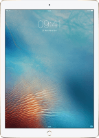 Apple iPad Pro 12.9 256 GB / 4G